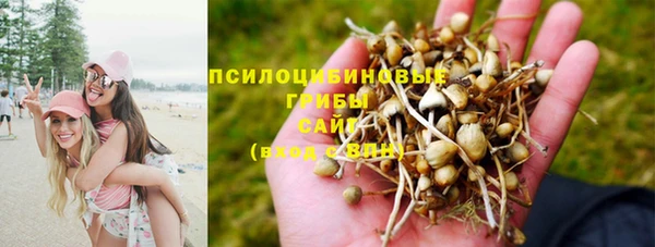 mdpv Алексеевка